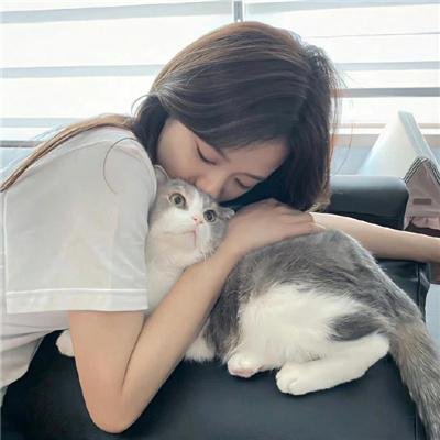 梦想成真粤语